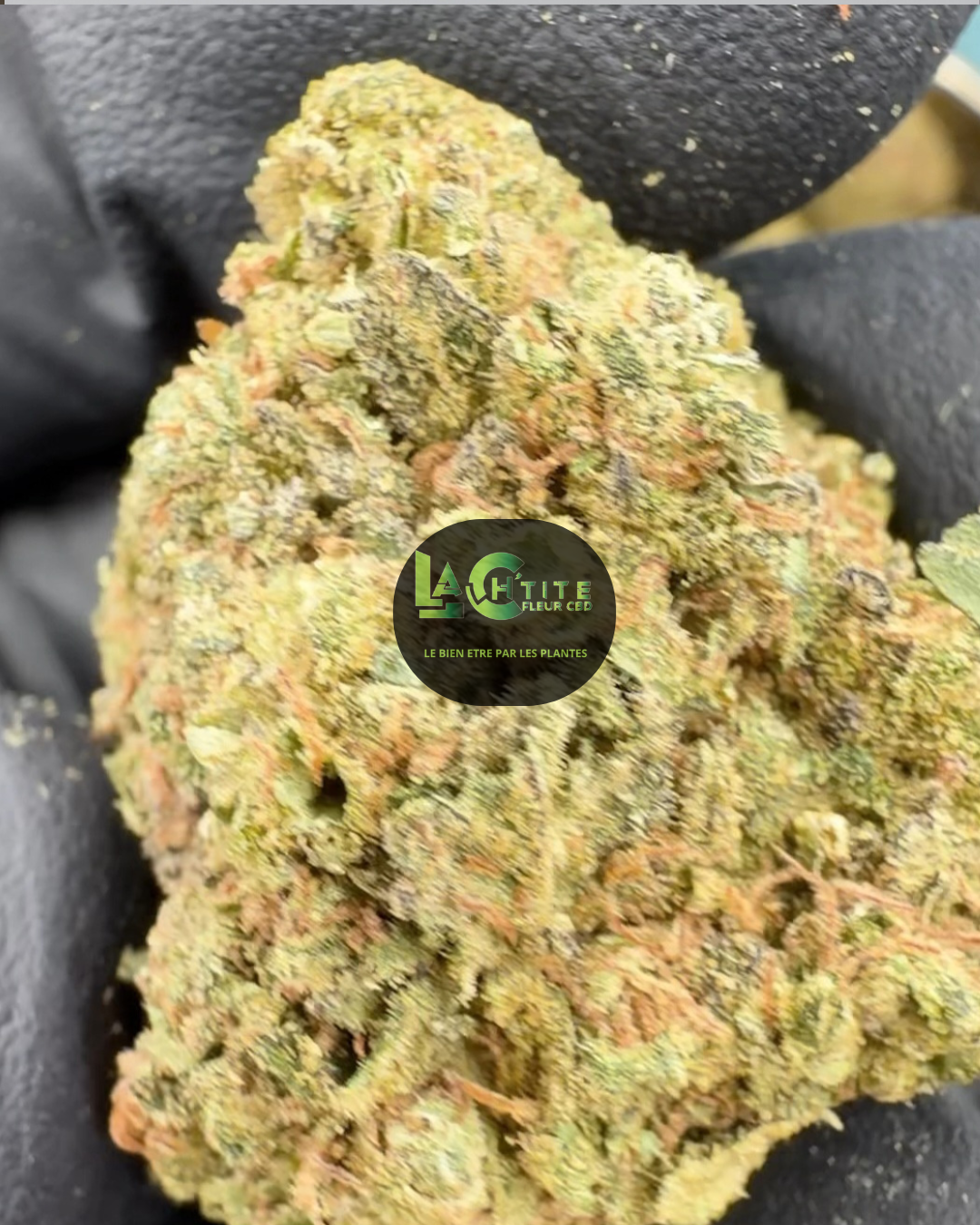 pineapple candy indoor