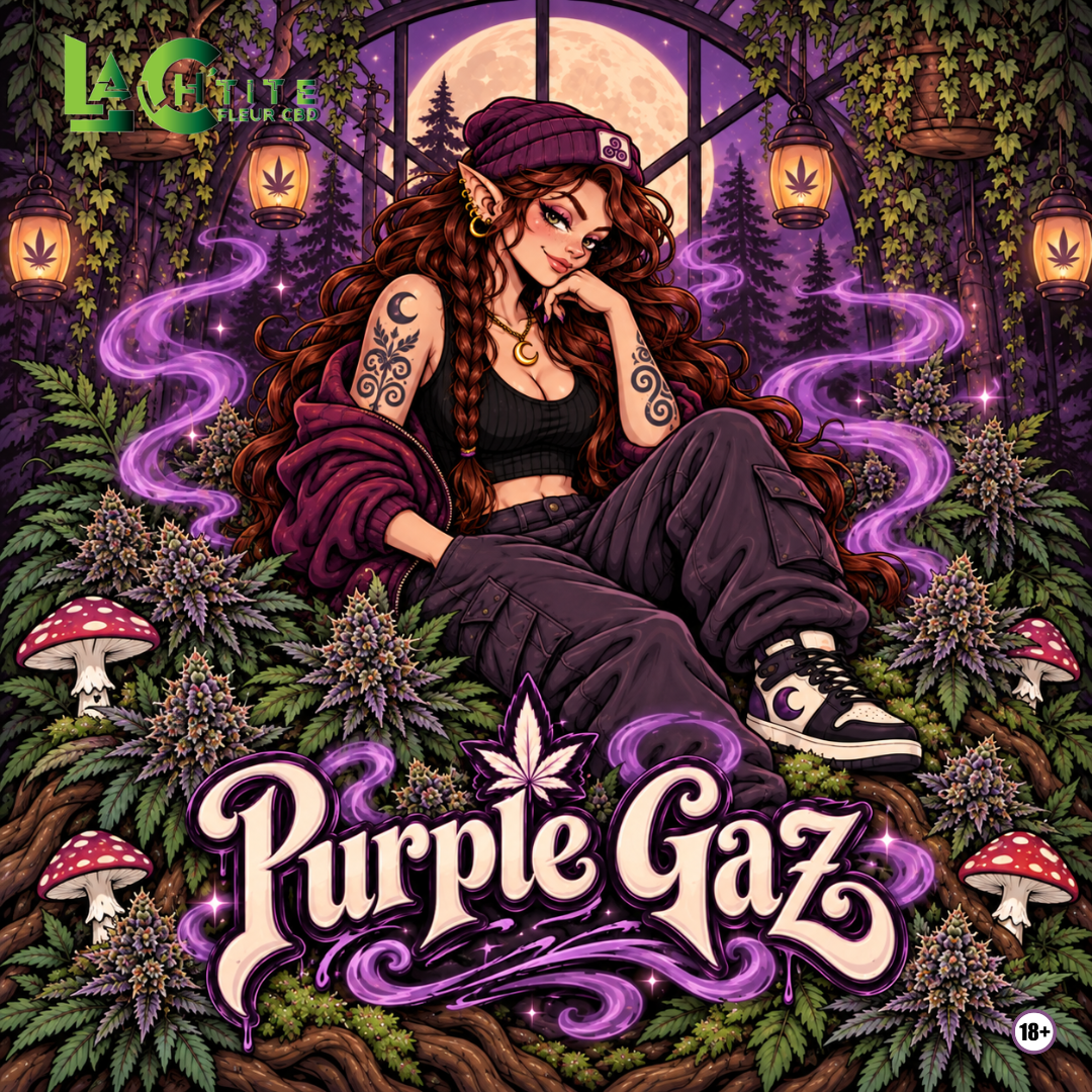 purple gaz indoor