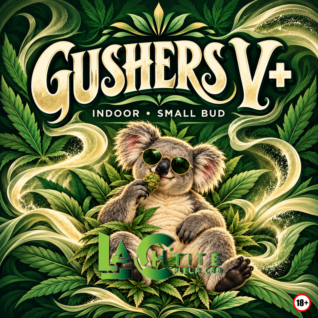 gushers cbd (2)