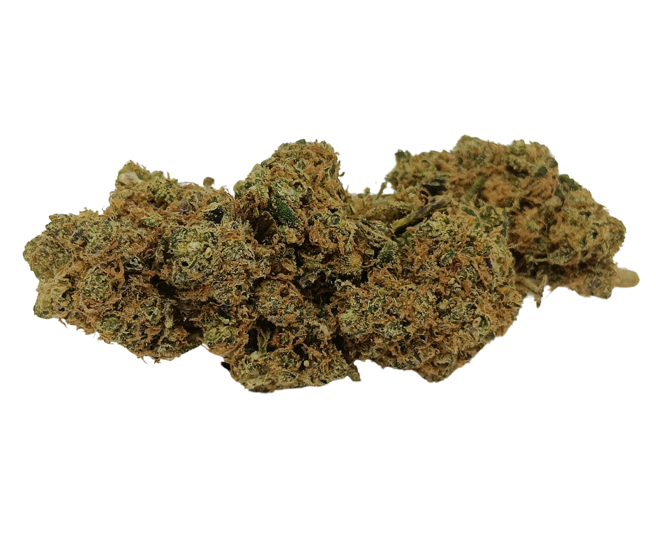 Design sans titre - 2024-06-21T123036.960