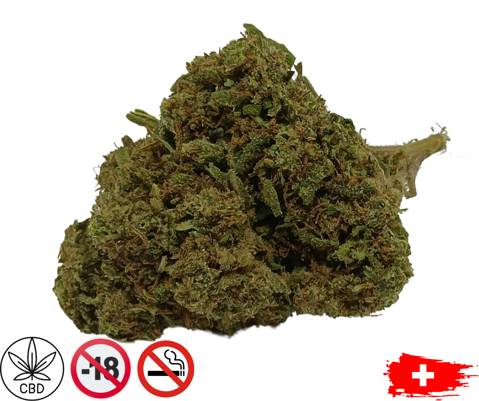 gorilla candy cbd grennhouse