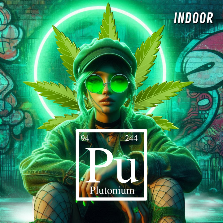 plutonium indoor cbd