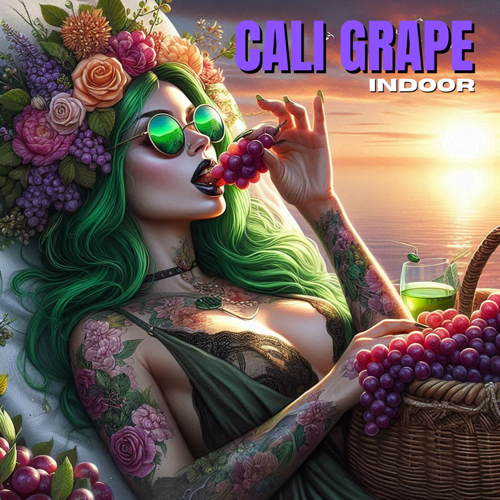 CALI GRAPE - INDOOR - CBD