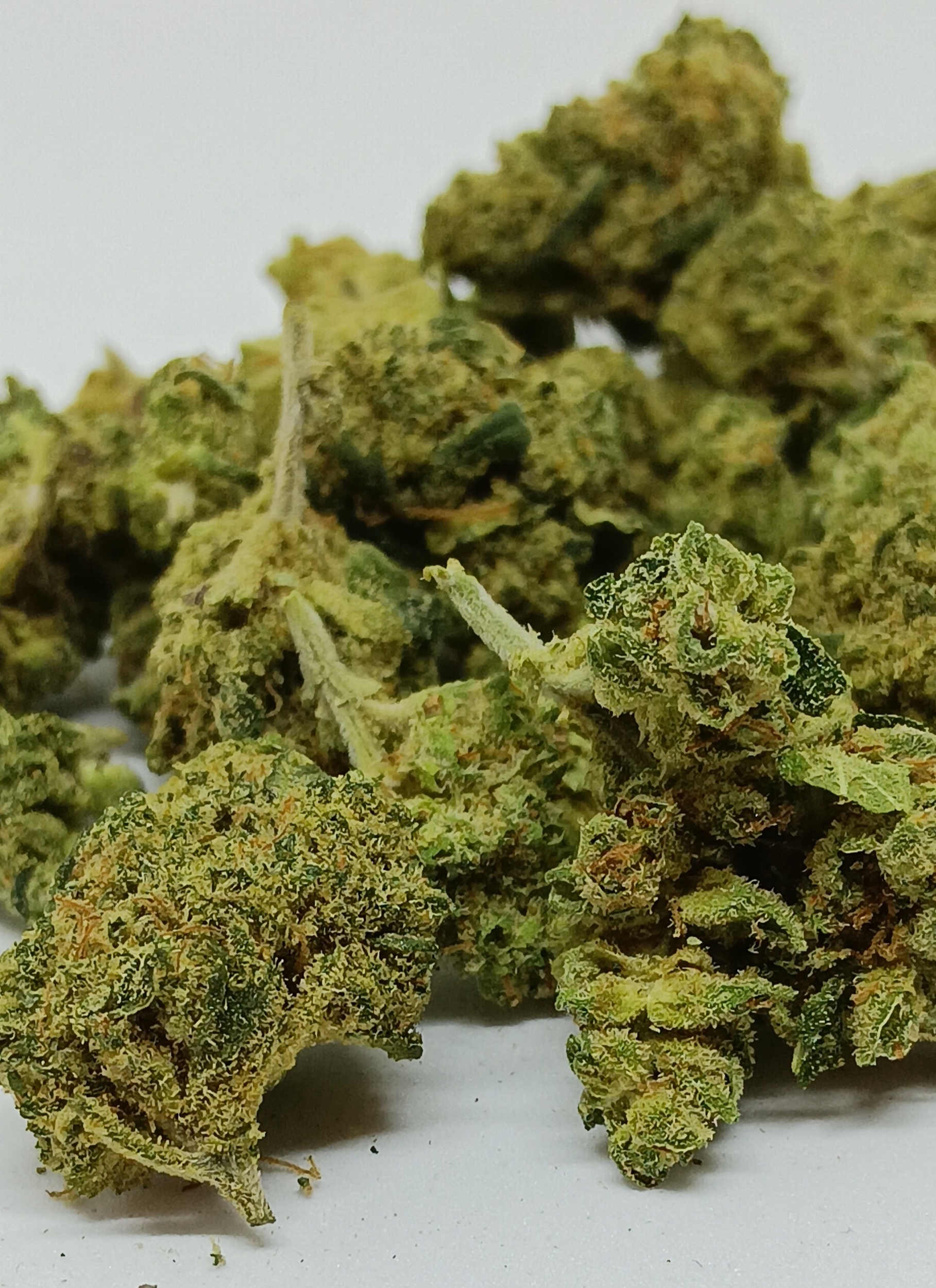 mango cbd small bud
