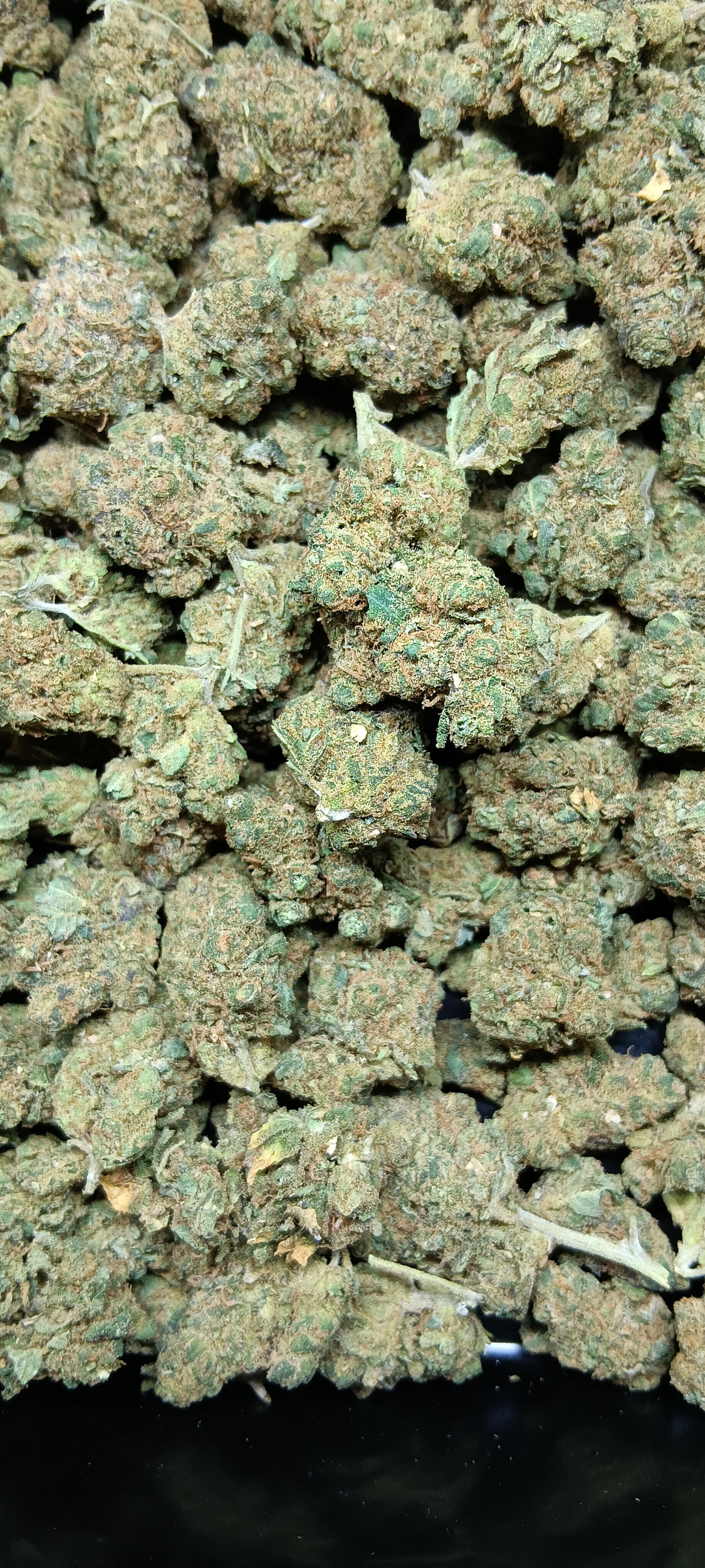 GP4 CBD