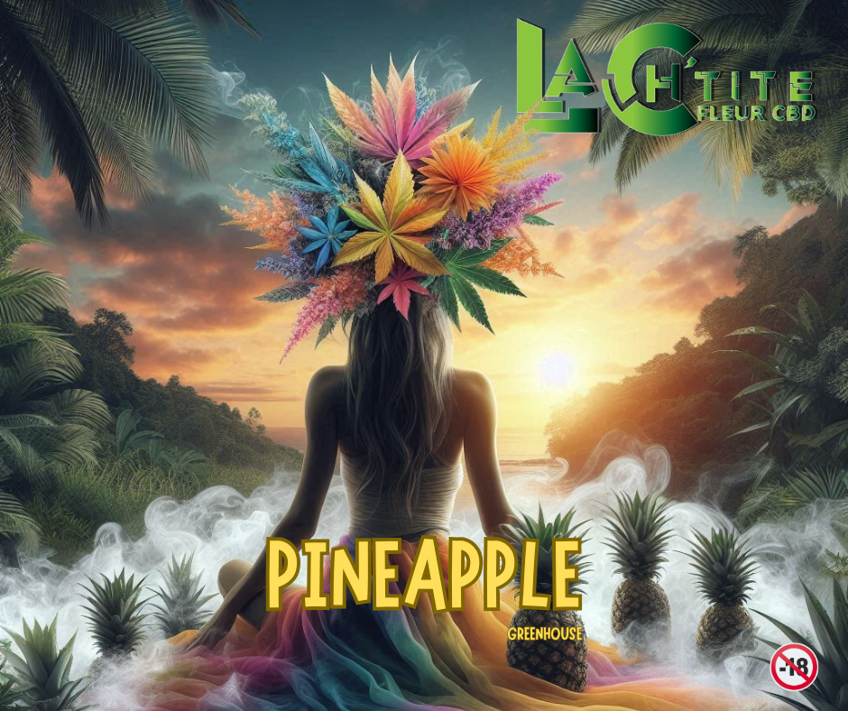 PINEAPPEL GREENHOUSE CBD 12% THC 0.3%