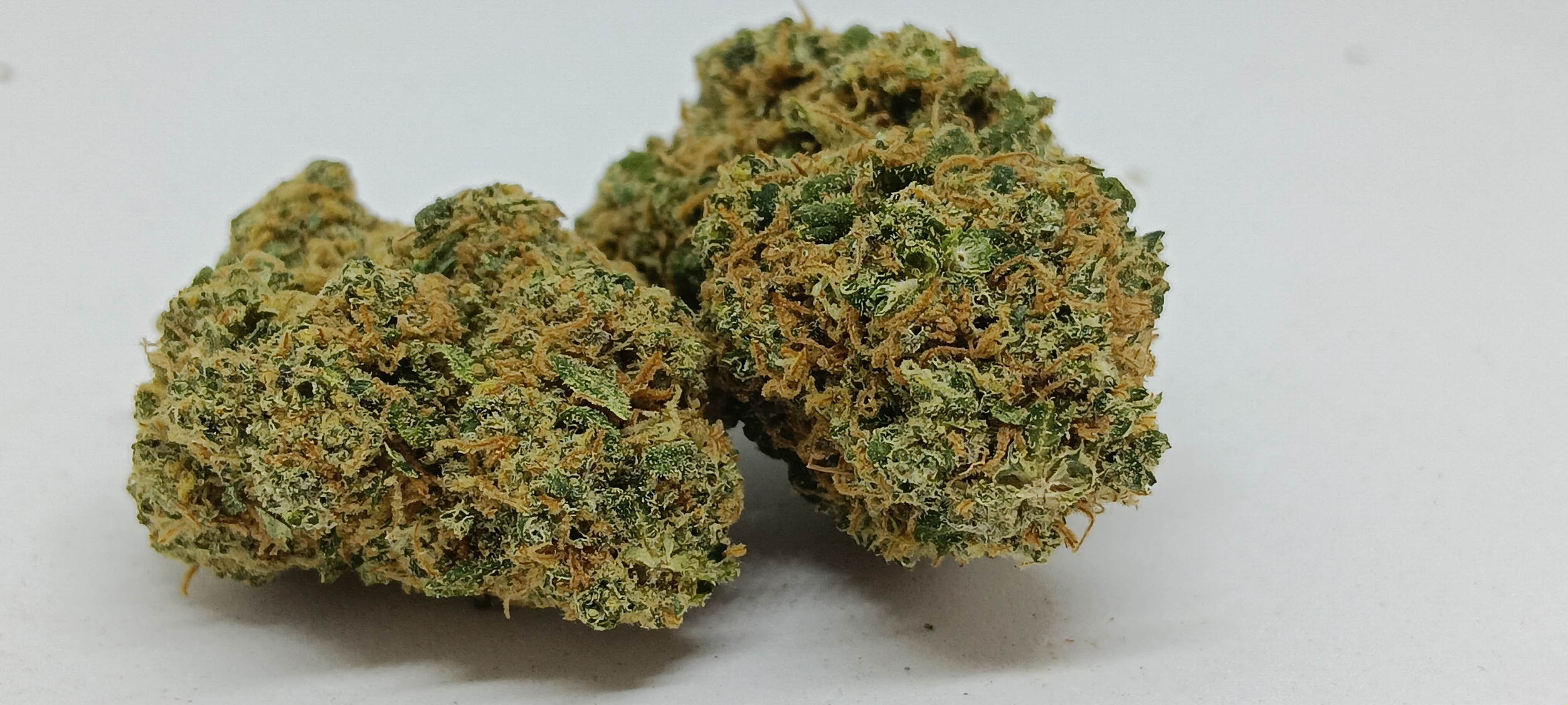 BANANA BERRY INDOOR