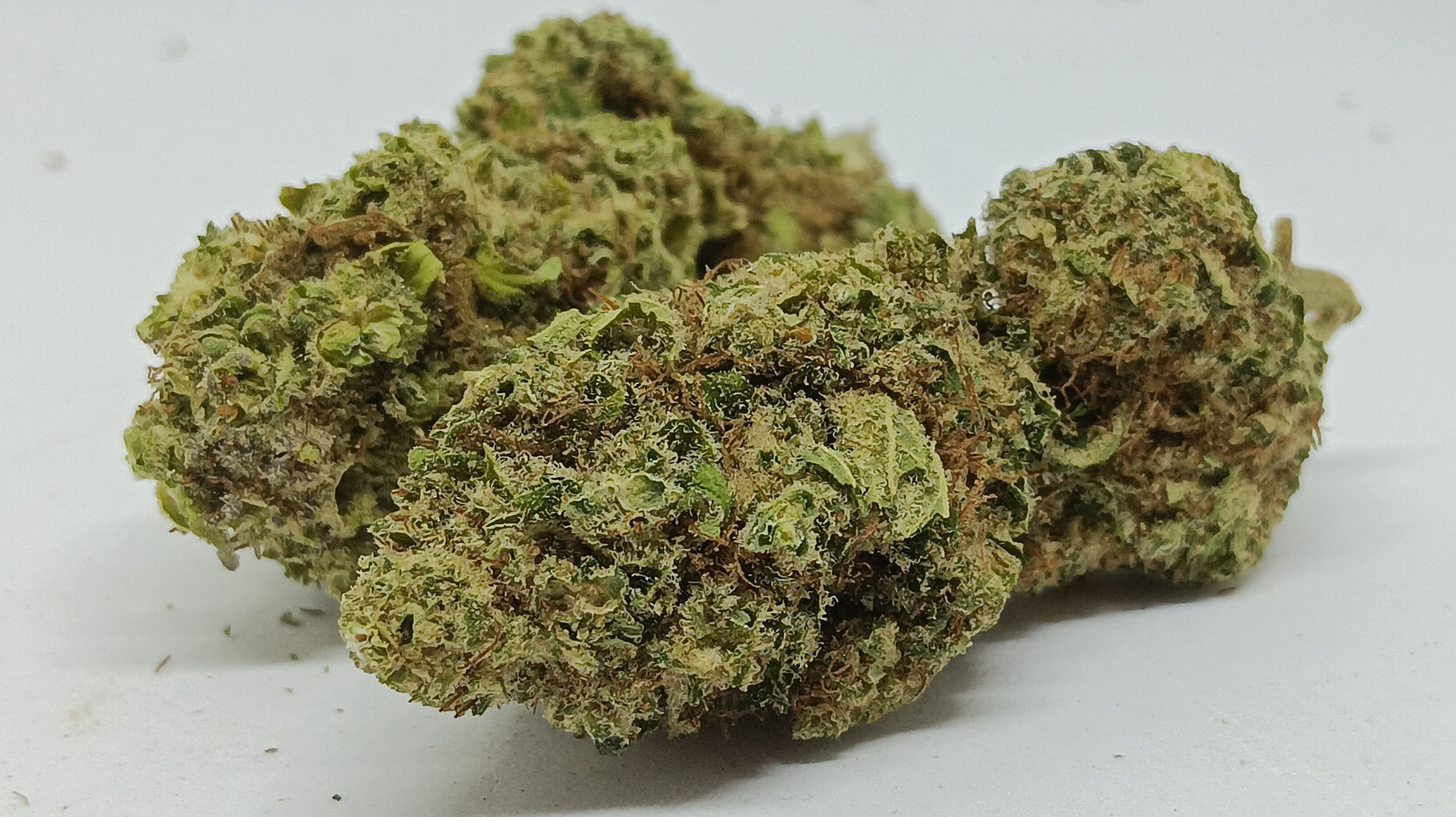 orange bud cbd