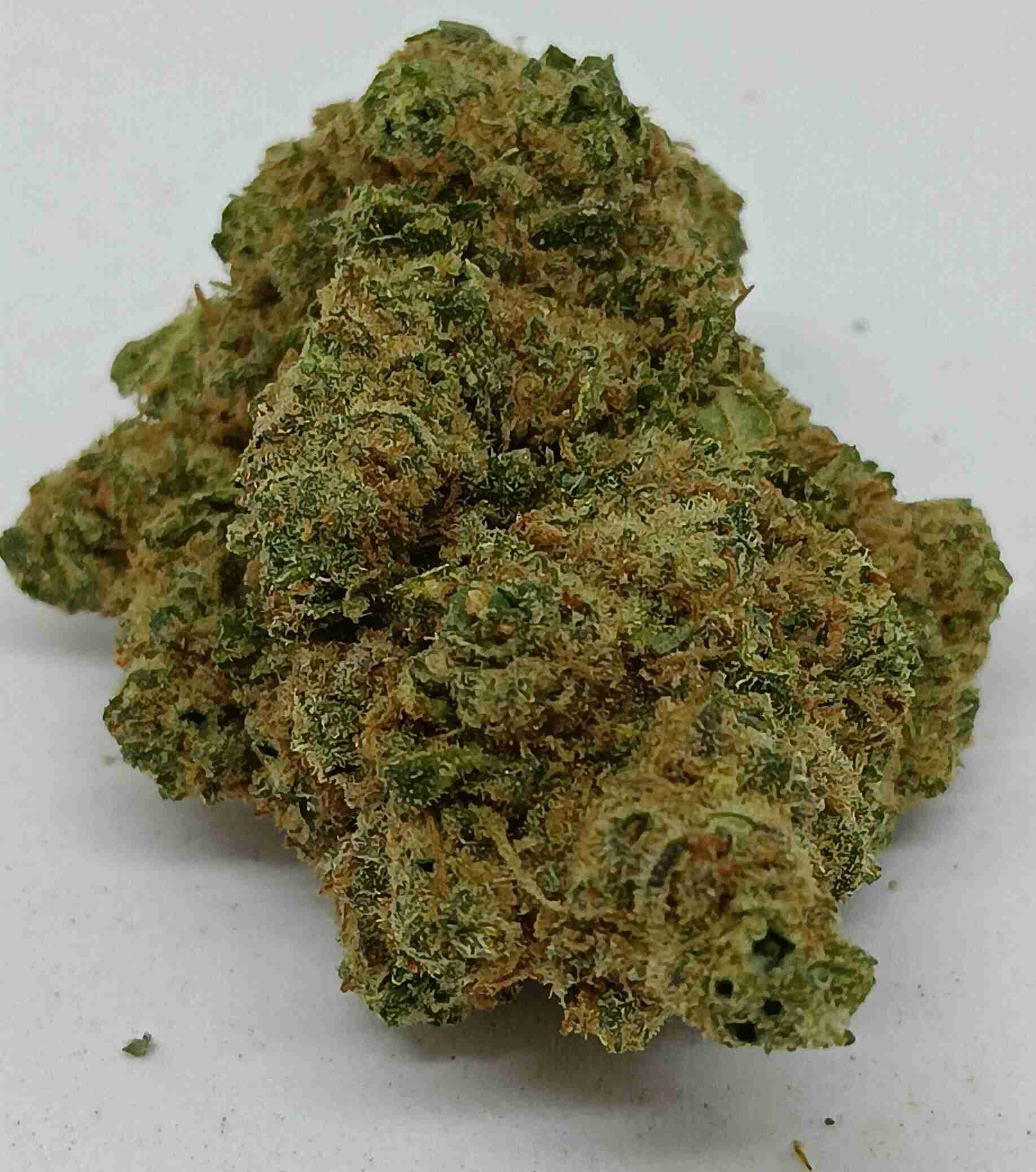 JUNGLE CAKE INDOOR CBD