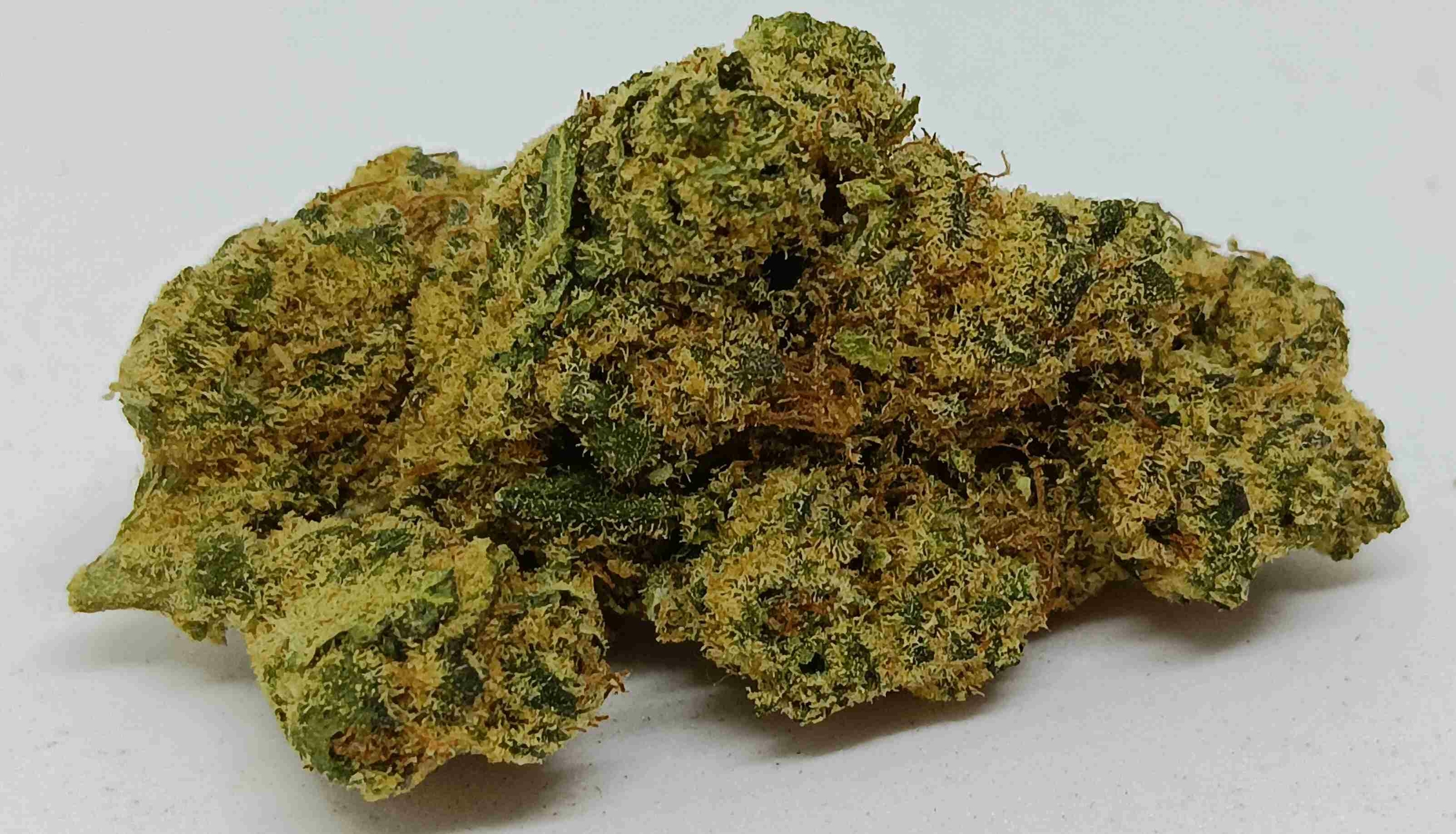 plutonimu indoor cbd