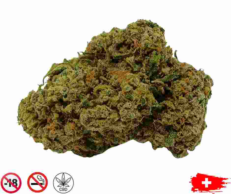 budda grape cbd