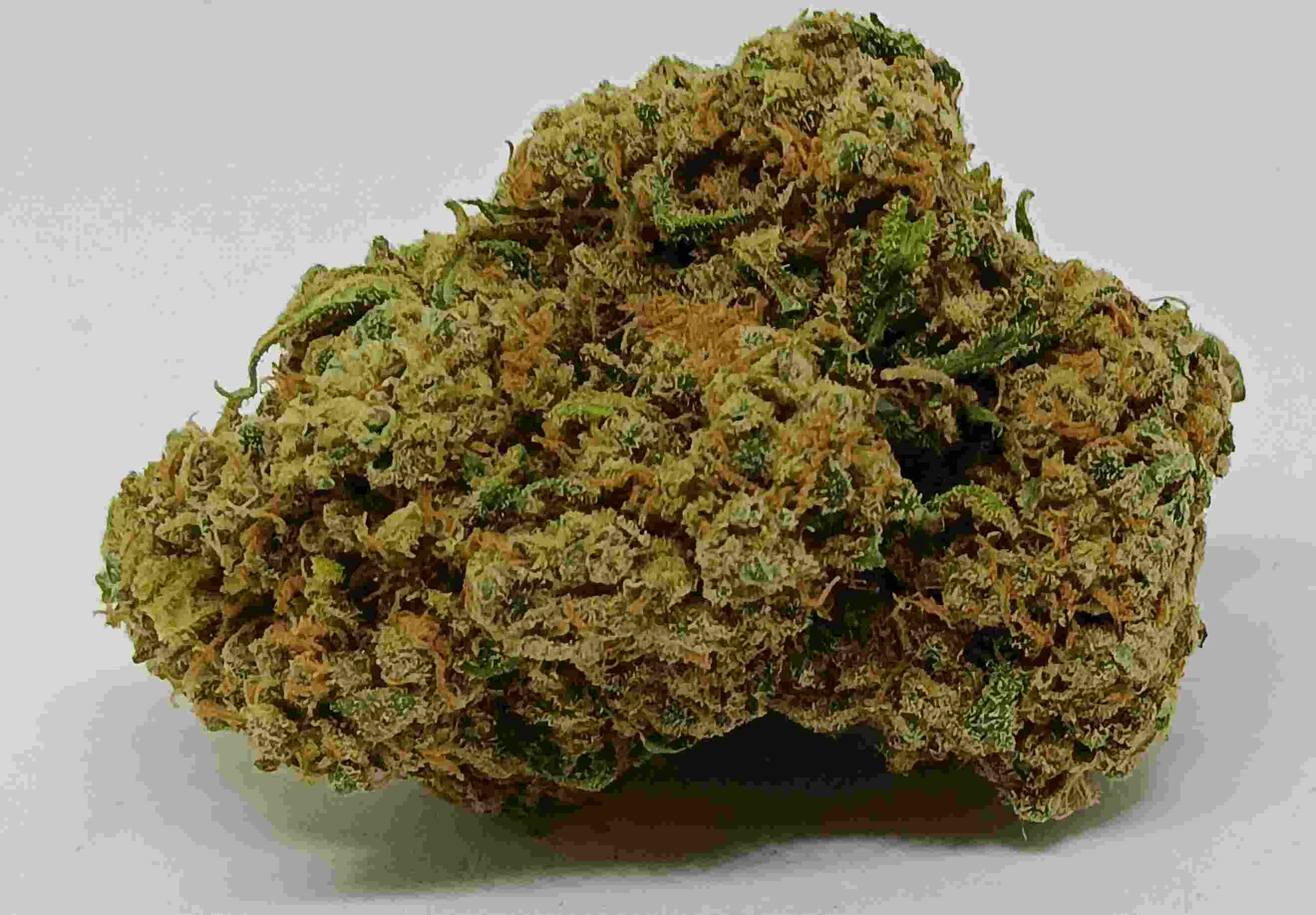 budda indoor cbd