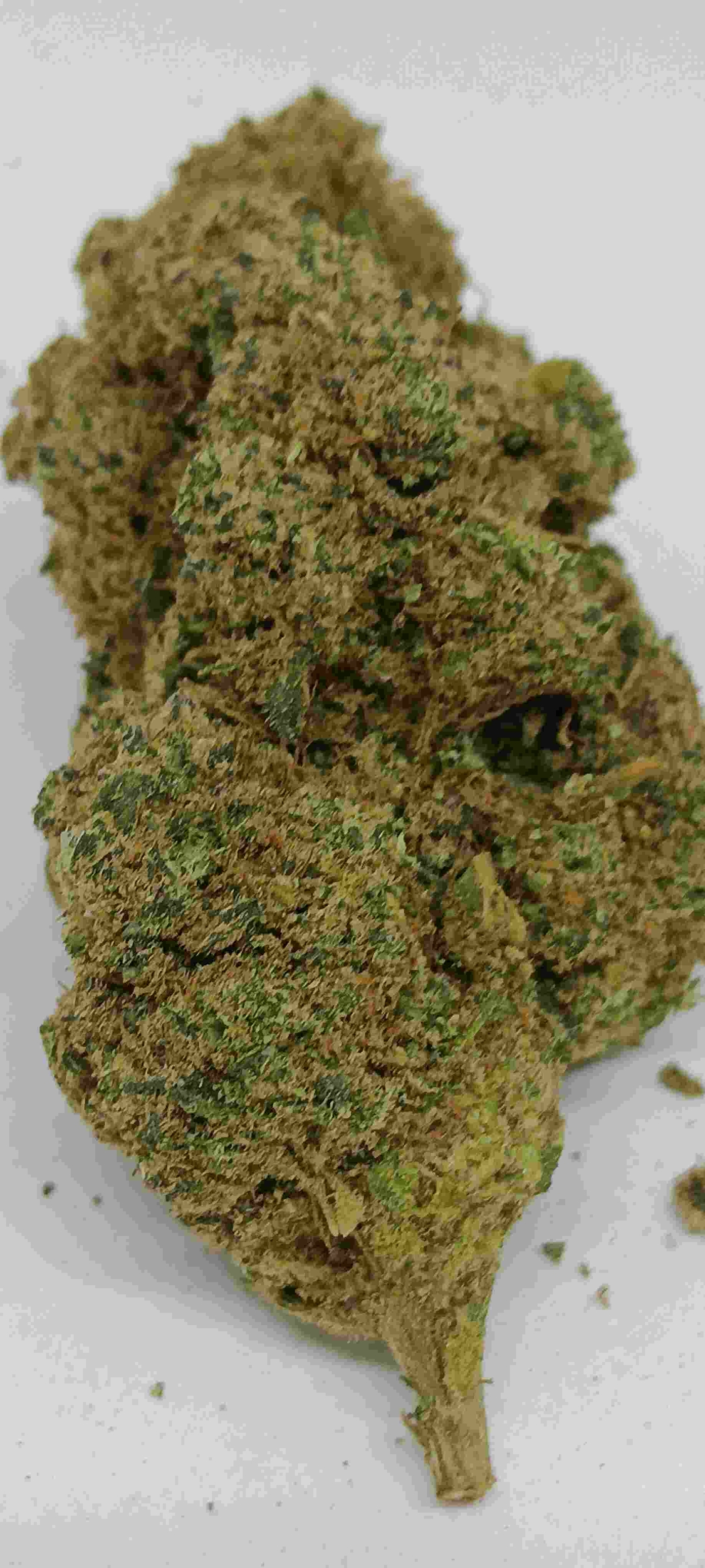 plutonium cbd indoor