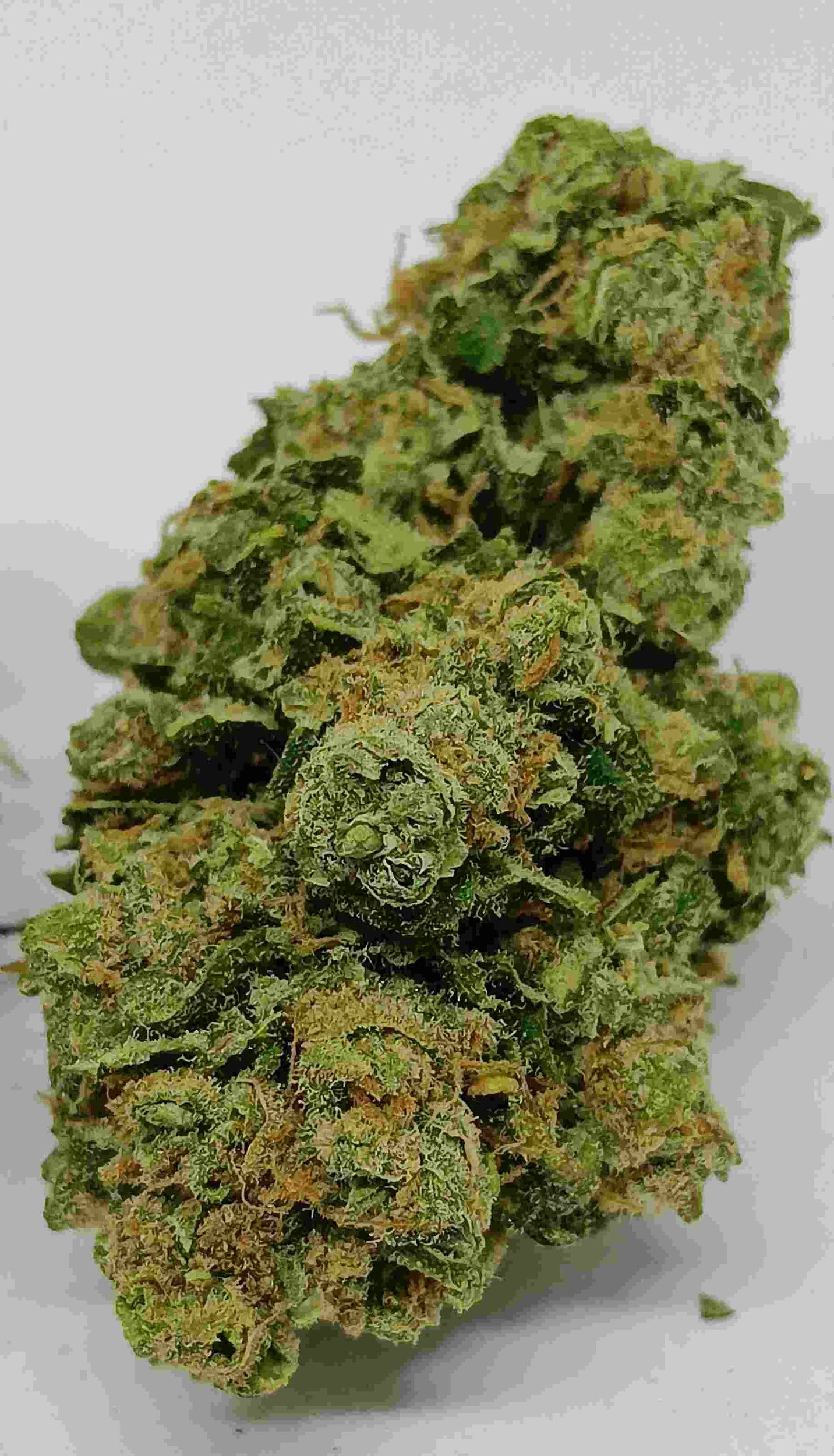 AMNESIA CBD HYDRO