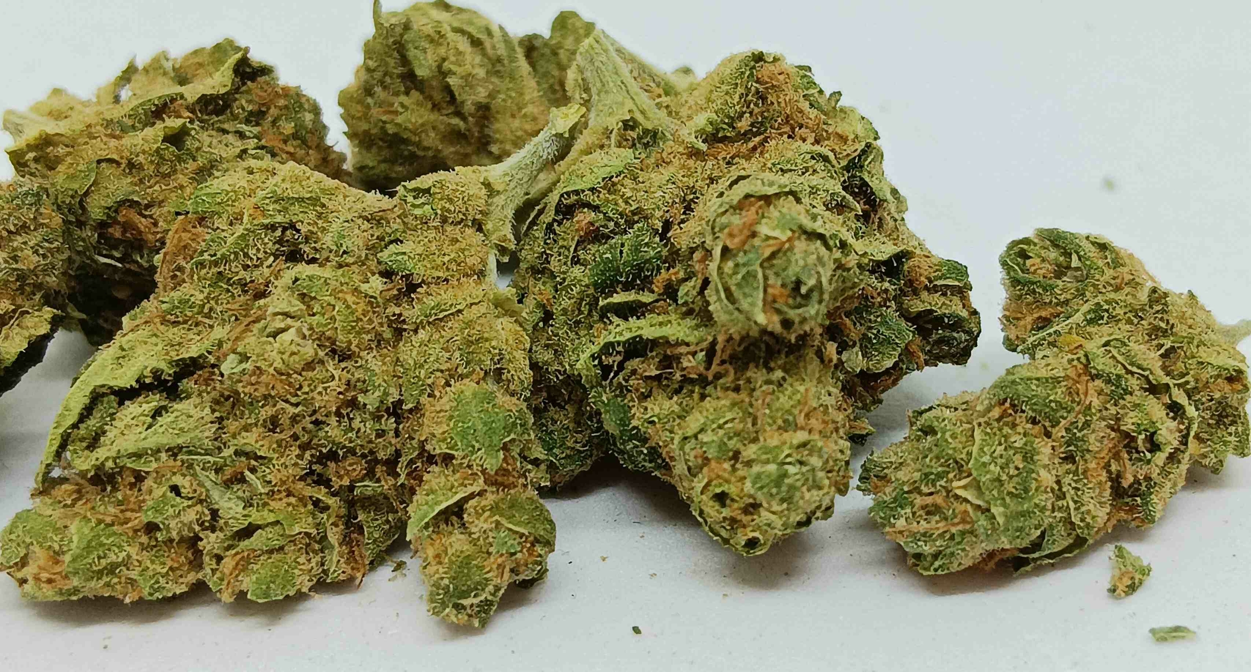 cbd small bud amnesia us