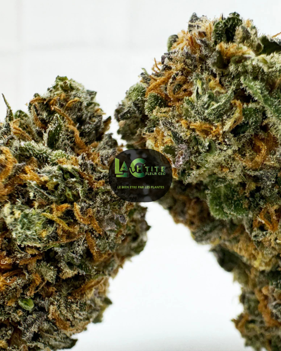cherry pie