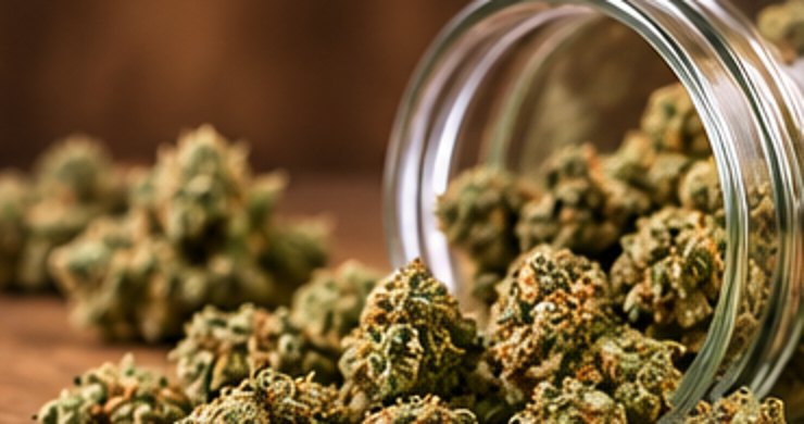 Small Bud CBD