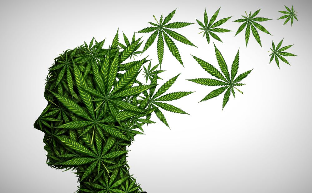 cbd cerveau Z