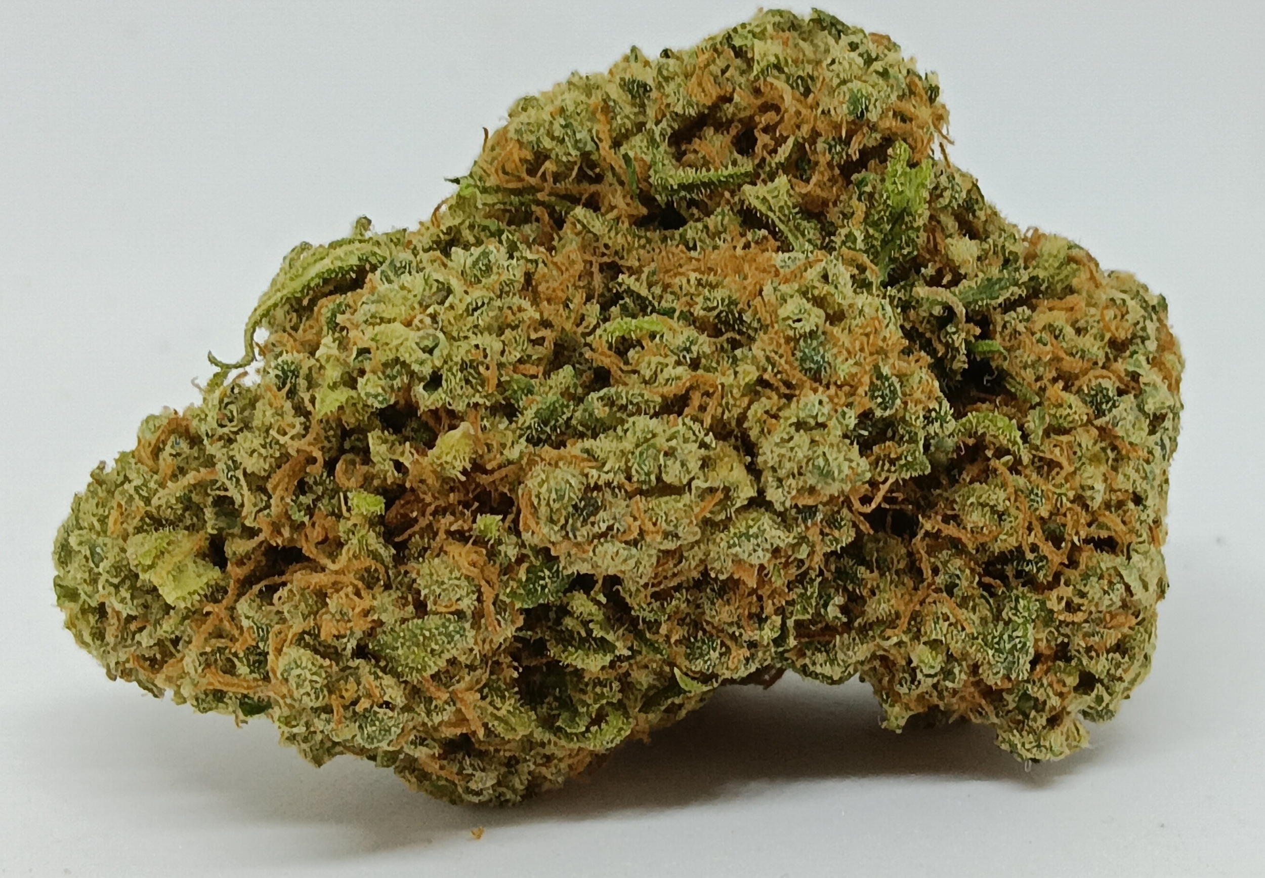 buddha grape indoor 