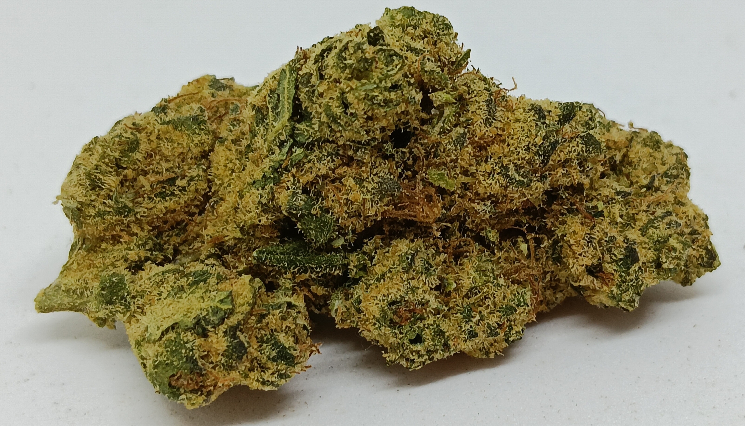 PLUTONIUM INDOOR