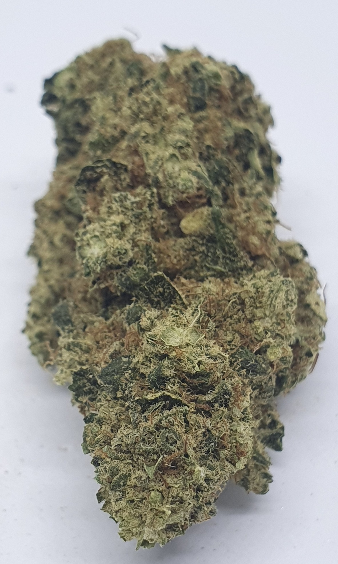 SUPER LEMON HAZE