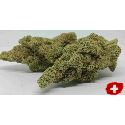 lemon meringue indoor
