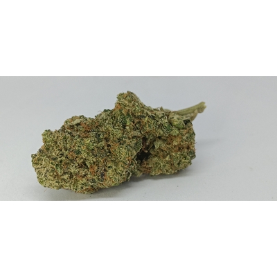 gorilla hydro