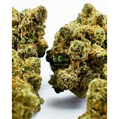 lemon hydro ht