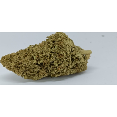 bubble mint indoor