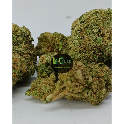 candy sb hydro