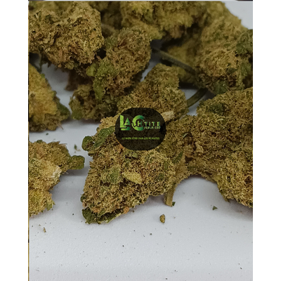 cbd white kush