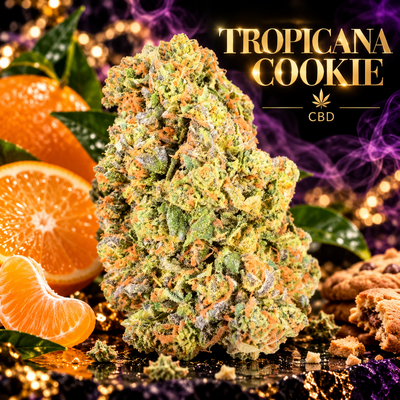 tropicana cookie cbd