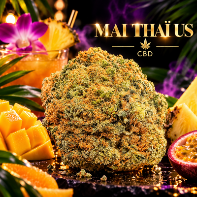 mai thai us cbd