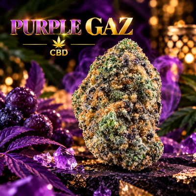 purple gaz indoor cbd