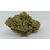 bubble gum indoor