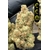 amnesia us cbd
