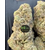 og kush hydro