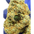 blueberrymufiin indorr