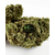 cbd candy rain
