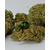 candy sb hydro