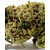 cbd bubble gum grenn