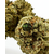 cbd citrus og