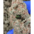 exodus chesse us cbd