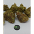 harlequin cbd small indoor