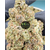 pineappel candy cbd