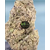 alien cookie gelato indoor cbd
