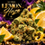 super lemon haze cbd