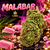 malabar indoor cbd