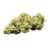 jack herer cbd