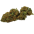 pineappel cbd